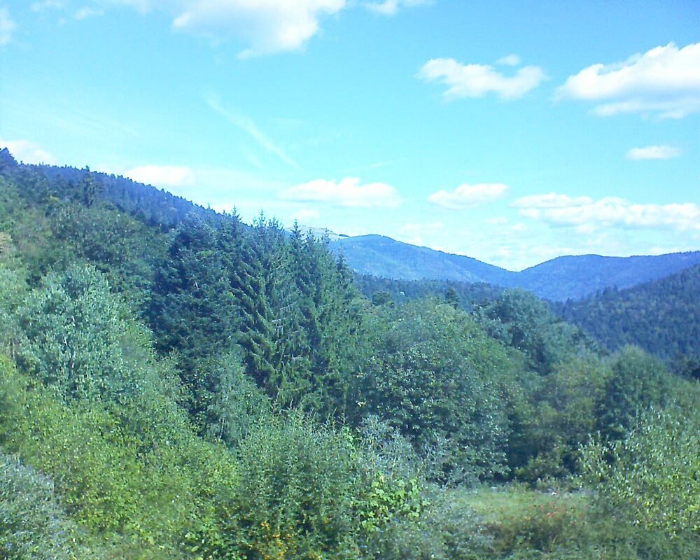 Le petit ballon (Alsace, Vosges) le 02.09.2026 à 11:30