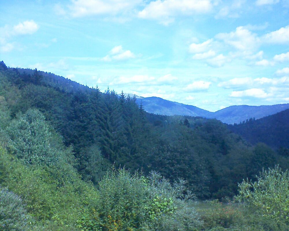 Le petit ballon (Alsace, Vosges) le 02.09.2026 à 12:15