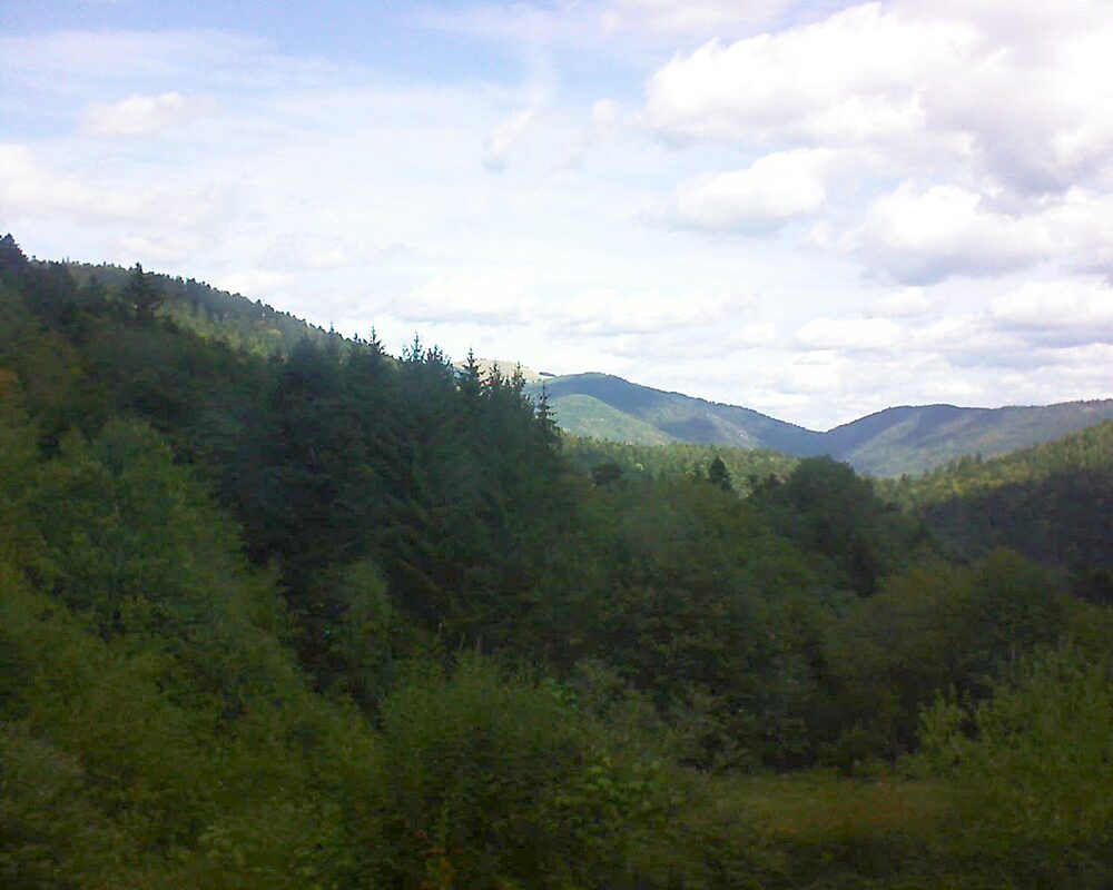 Le petit ballon (Alsace, Vosges) le 02.09.2026 à 12:30