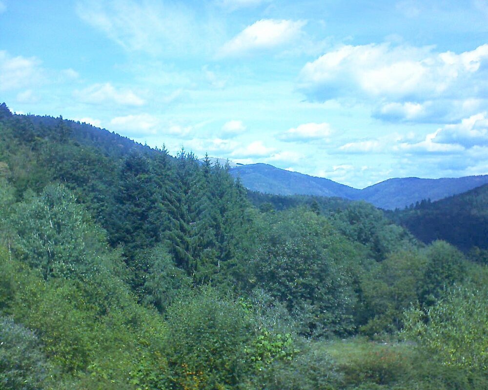 Le petit ballon vu depuis le Domaine Langmatt à Murbach le 02.09.2026 à 12:45 Le petit ballon (Alsace, Vosges) le 02.09.2026 à 12:45