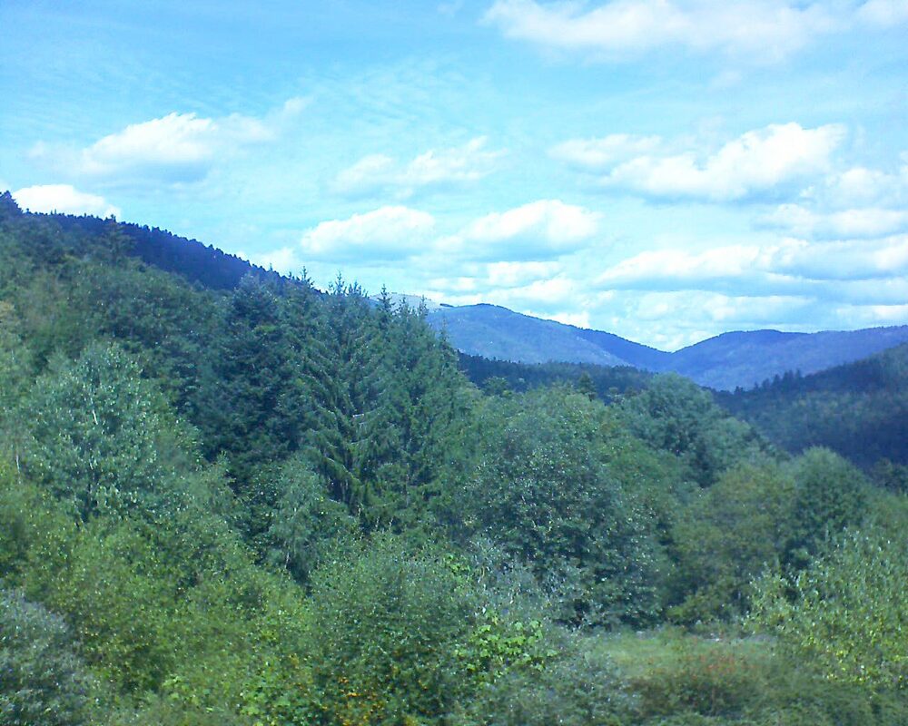 Le petit ballon vu depuis le Domaine Langmatt à Murbach le 02.09.2026 à 13:15 Le petit ballon (Alsace, Vosges) le 02.09.2026 à 13:15
