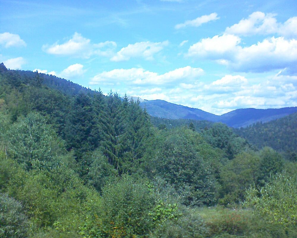 Le petit ballon vu depuis le Domaine Langmatt à Murbach le 02.09.2026 à 13:30 Le petit ballon (Alsace, Vosges) le 02.09.2026 à 13:30