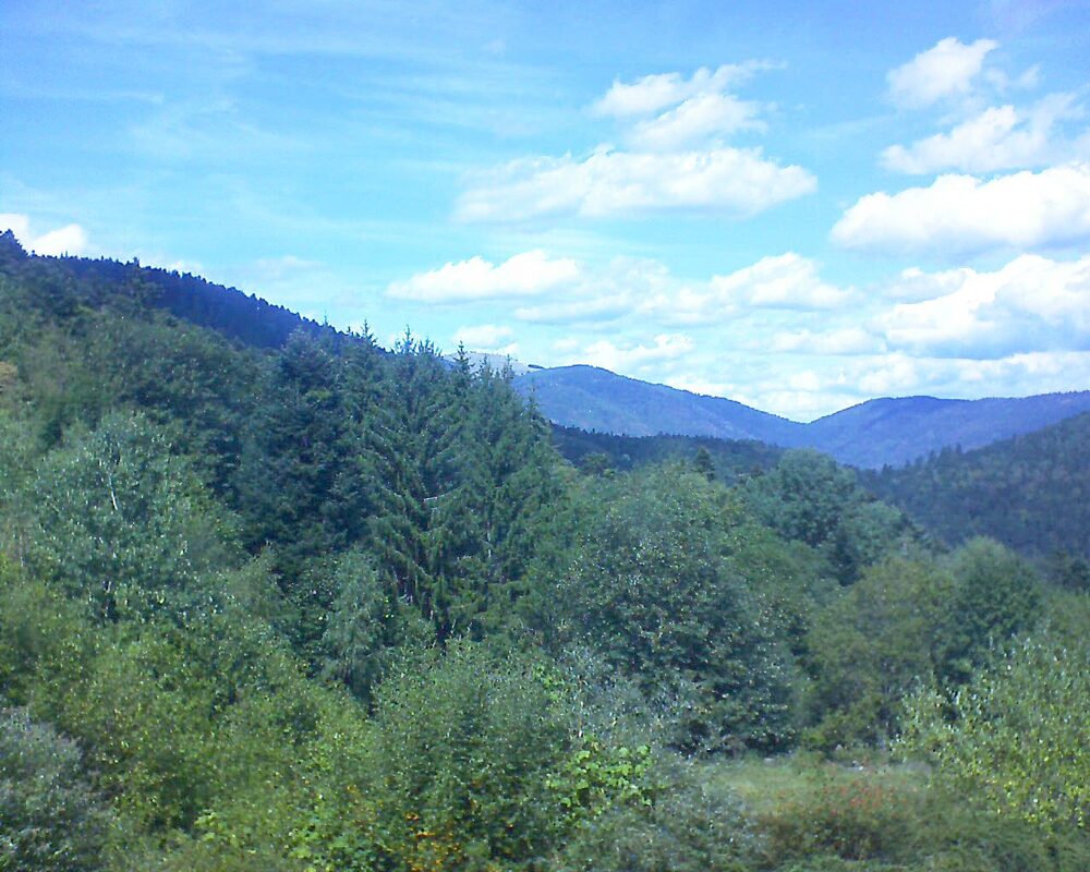Le petit ballon vu depuis le Domaine Langmatt à Murbach le 02.09.2026 à 13:45 Le petit ballon (Alsace, Vosges) le 02.09.2026 à 13:45