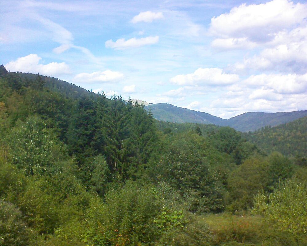 Le petit ballon (Alsace, Vosges) le 02.09.2026 à 14:00
