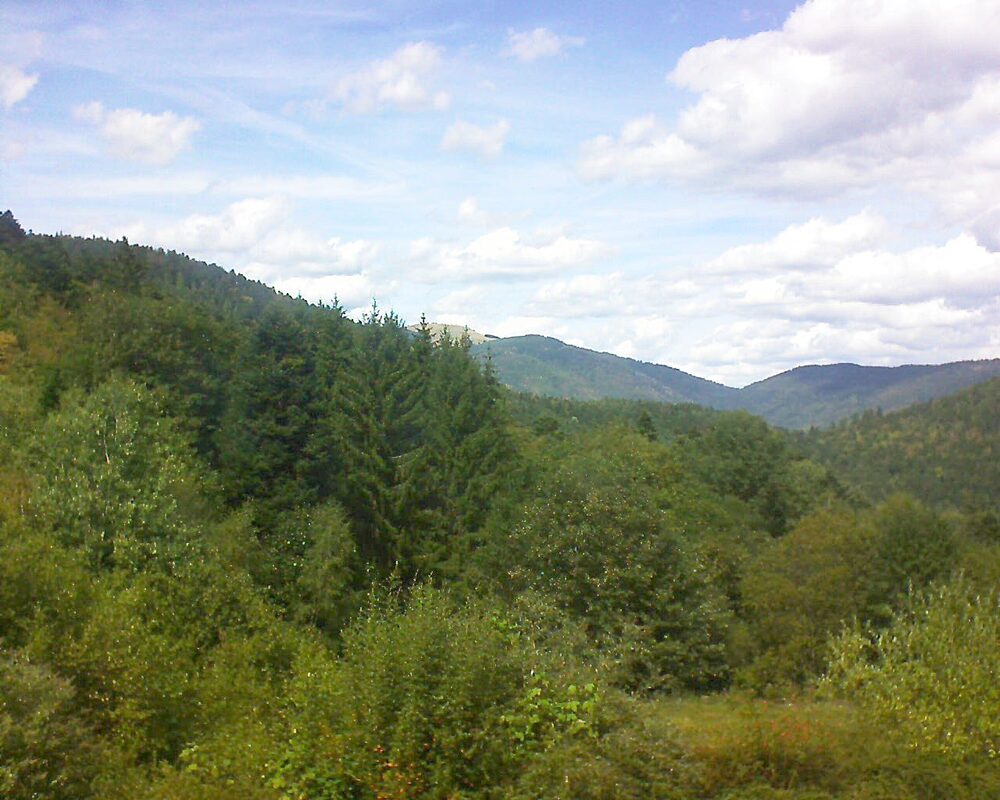 Le petit ballon vu depuis le Domaine Langmatt à Murbach le 02.09.2026 à 14:15 Le petit ballon (Alsace, Vosges) le 02.09.2026 à 14:15