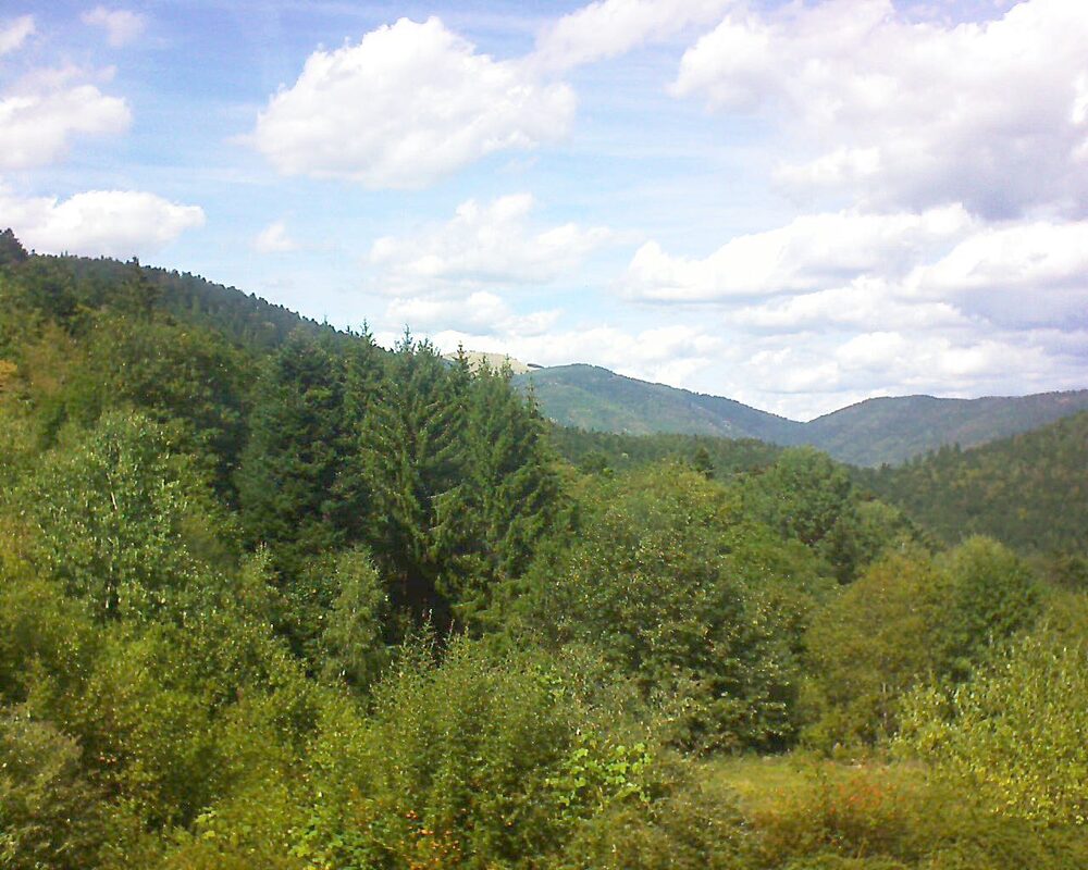 Le petit ballon (Alsace, Vosges) le 02.09.2026 à 14:30