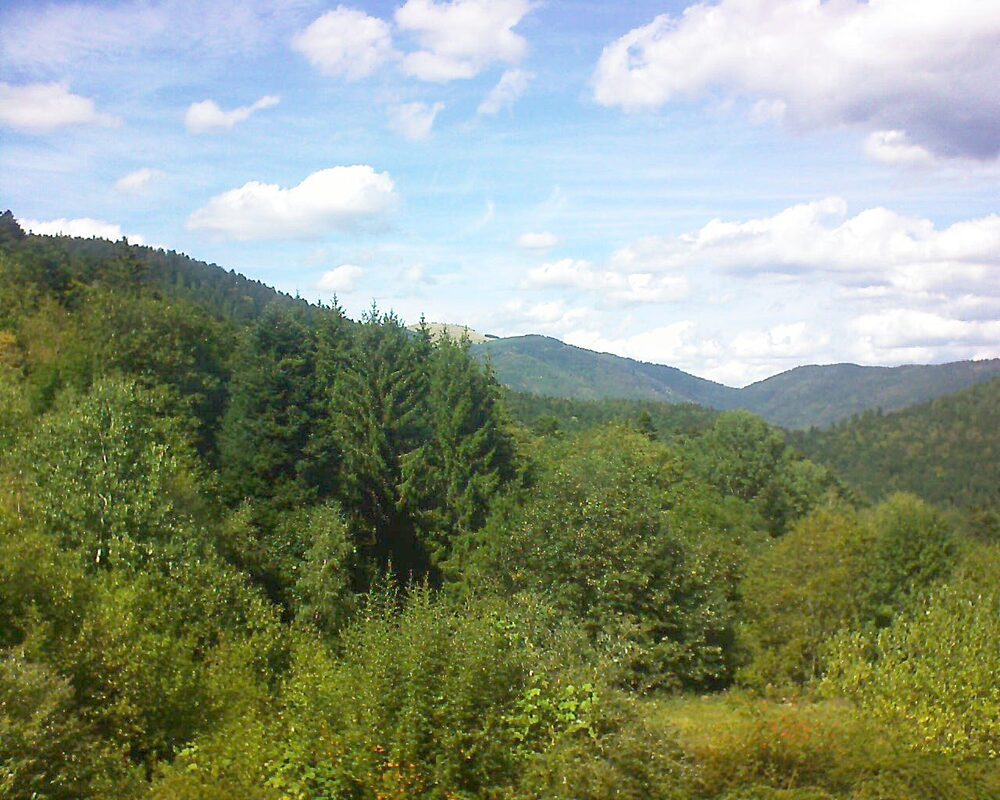 Le petit ballon vu depuis le Domaine Langmatt à Murbach le 02.09.2026 à 14:45 Le petit ballon (Alsace, Vosges) le 02.09.2026 à 14:45