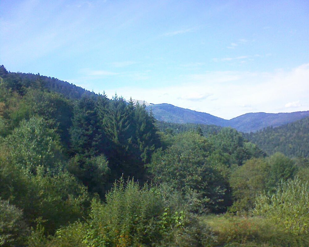 Le petit ballon vu depuis le Domaine Langmatt à Murbach le 02.09.2026 à 16:15 Le petit ballon (Alsace, Vosges) le 02.09.2026 à 16:15