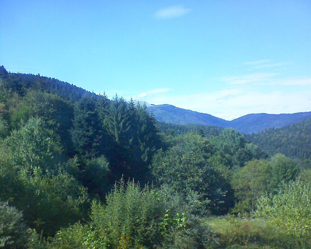 Le petit ballon (Alsace, Vosges) le 02.09.2026 à 16:30