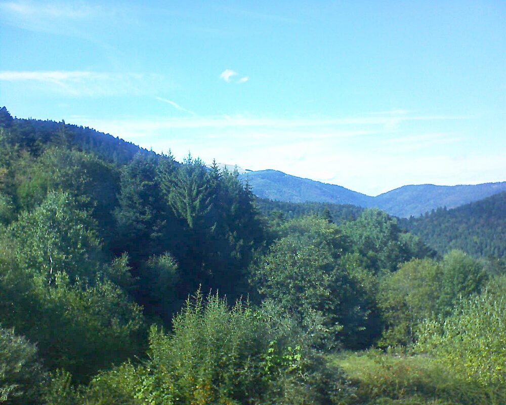 Le petit ballon vu depuis le Domaine Langmatt à Murbach le 02.09.2026 à 16:45 Le petit ballon (Alsace, Vosges) le 02.09.2026 à 16:45