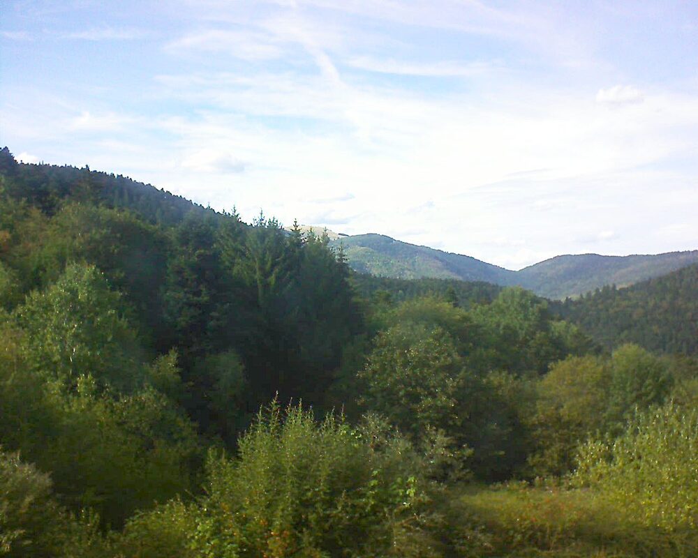 Le petit ballon (Alsace, Vosges) le 02.09.2026 à 17:15