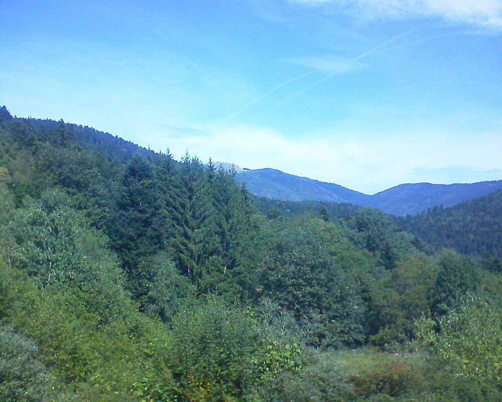 Le petit ballon (Alsace, Vosges) le 03.09.2026 à 12:30