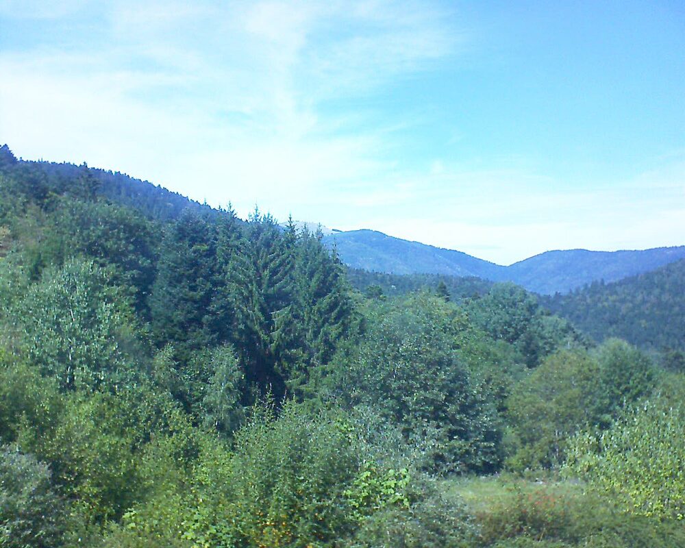 Le petit ballon (Alsace, Vosges) le 03.09.2026 à 14:30