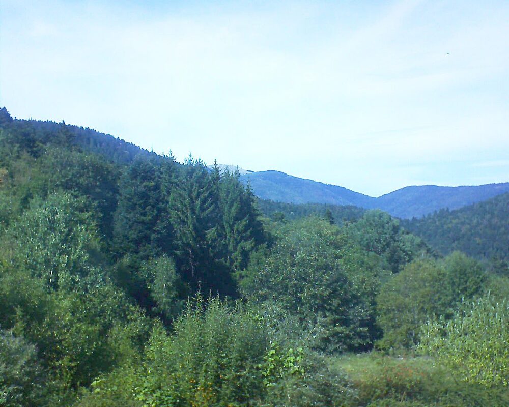 Le petit ballon vu depuis le Domaine Langmatt à Murbach le 03.09.2026 à 15:15 Le petit ballon (Alsace, Vosges) le 03.09.2026 à 15:15