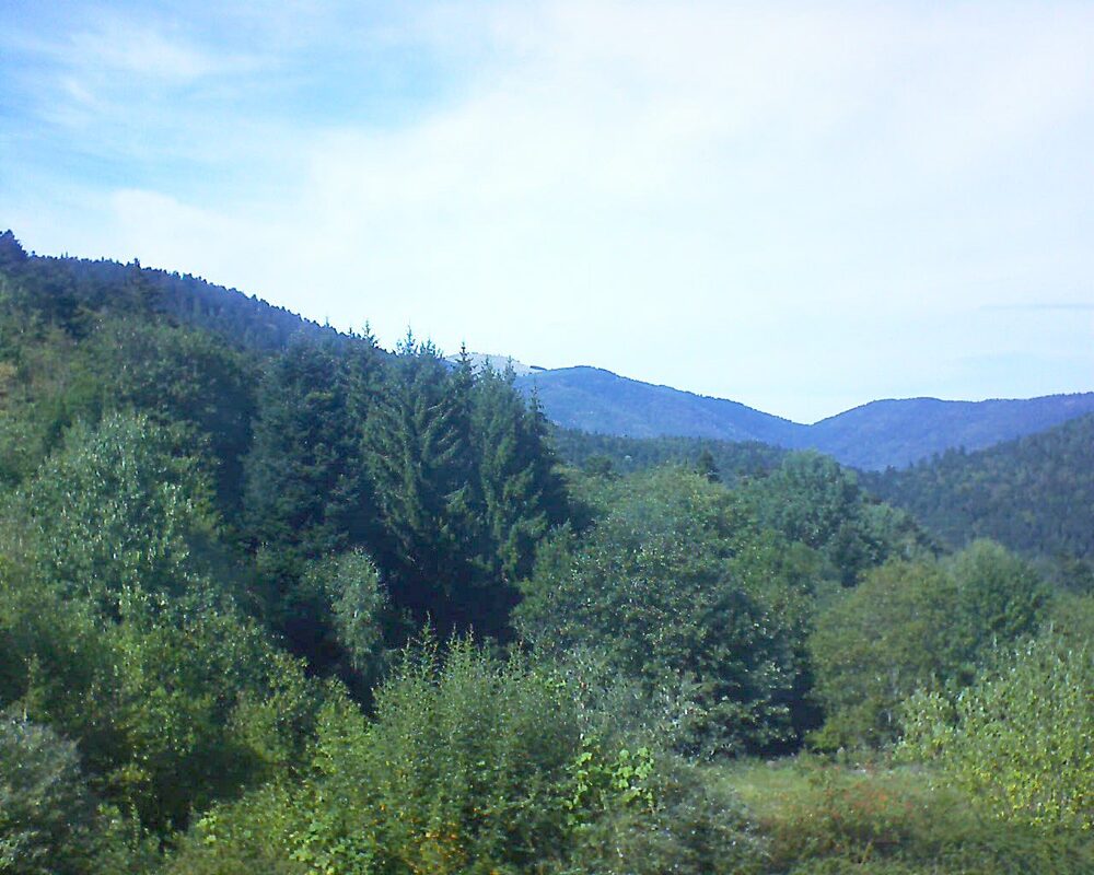 Le petit ballon (Alsace, Vosges) le 03.09.2026 à 15:30