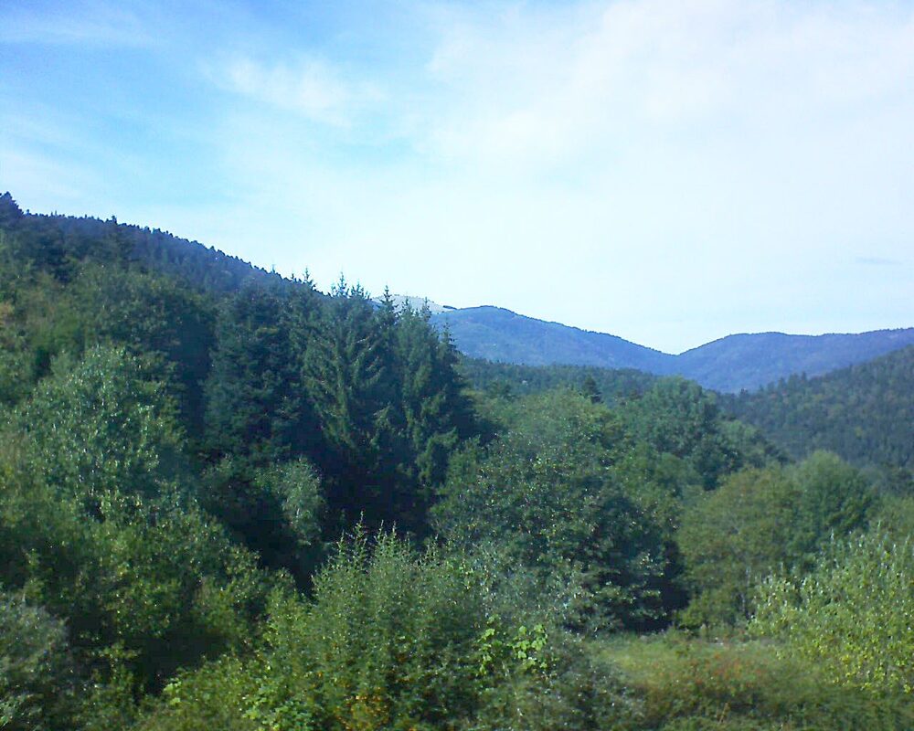 Le petit ballon vu depuis le Domaine Langmatt à Murbach le 03.09.2026 à 15:45 Le petit ballon (Alsace, Vosges) le 03.09.2026 à 15:45
