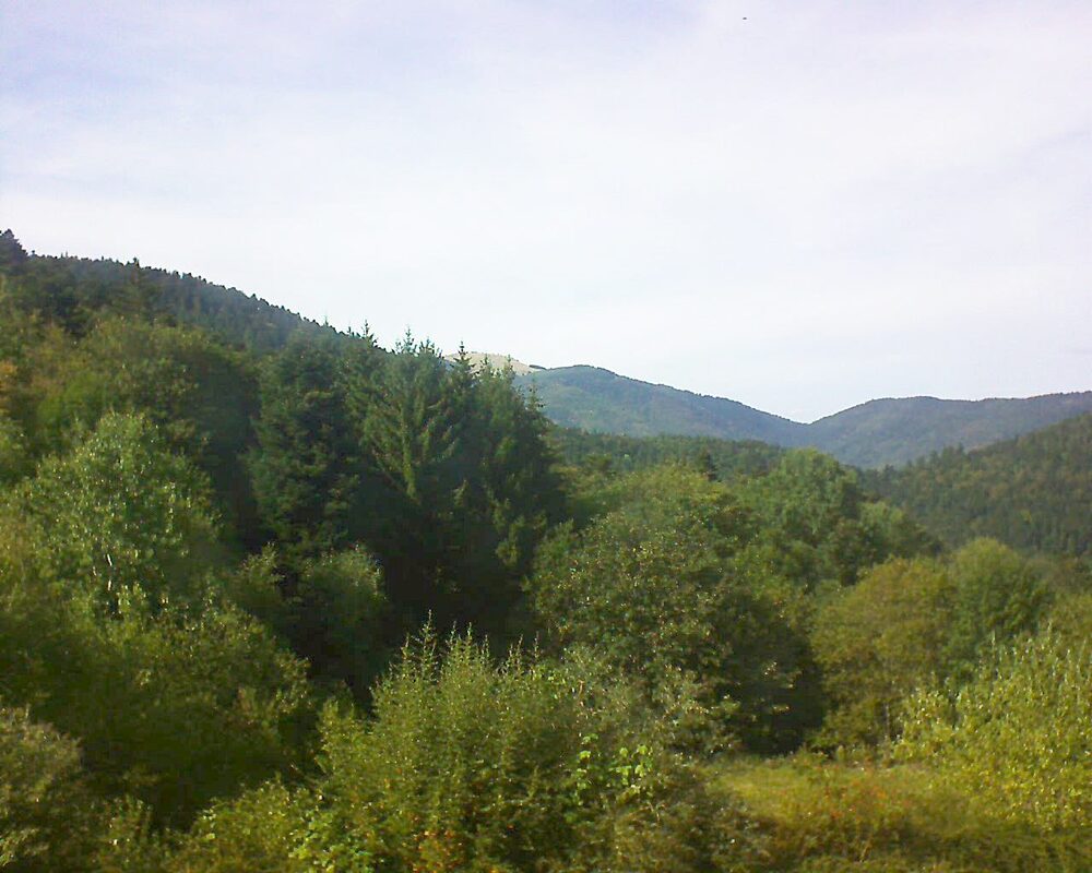Le petit ballon (Alsace, Vosges) le 03.09.2026 à 16:30