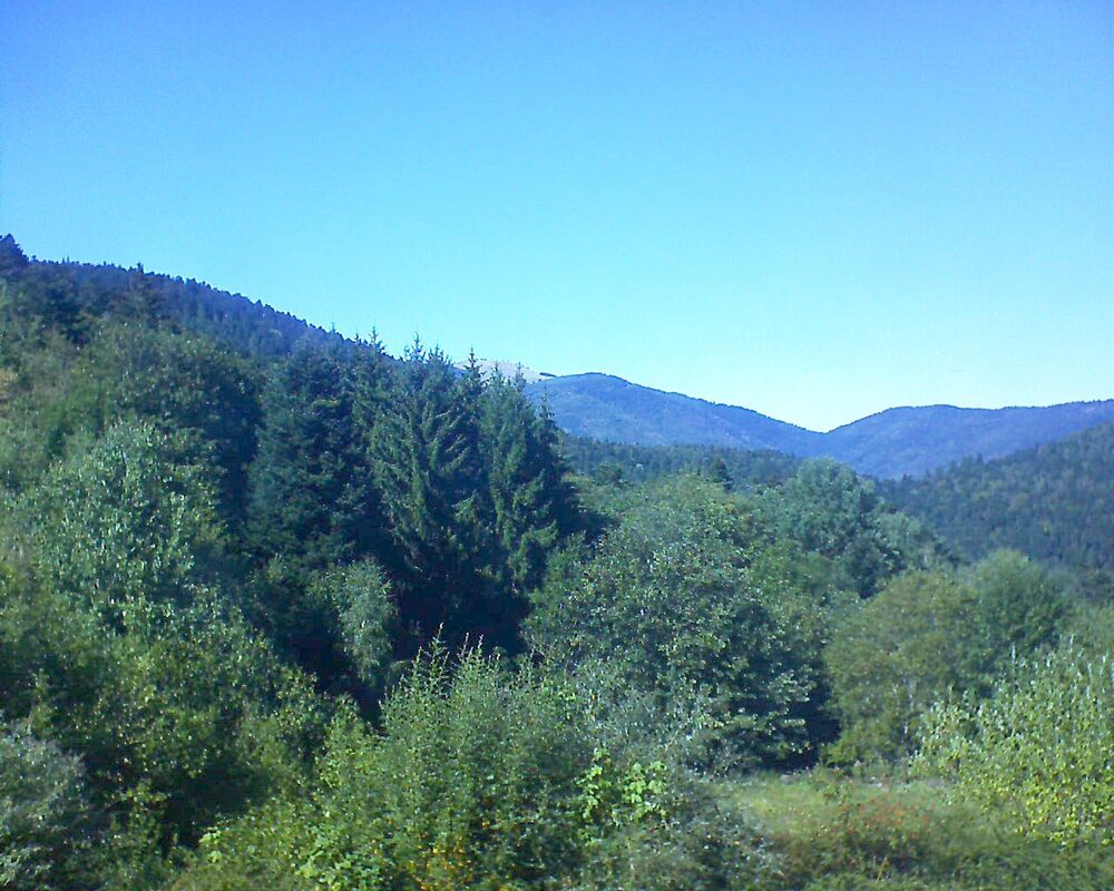 Le petit ballon (Alsace, Vosges) le 04.09.2026 à 15:30