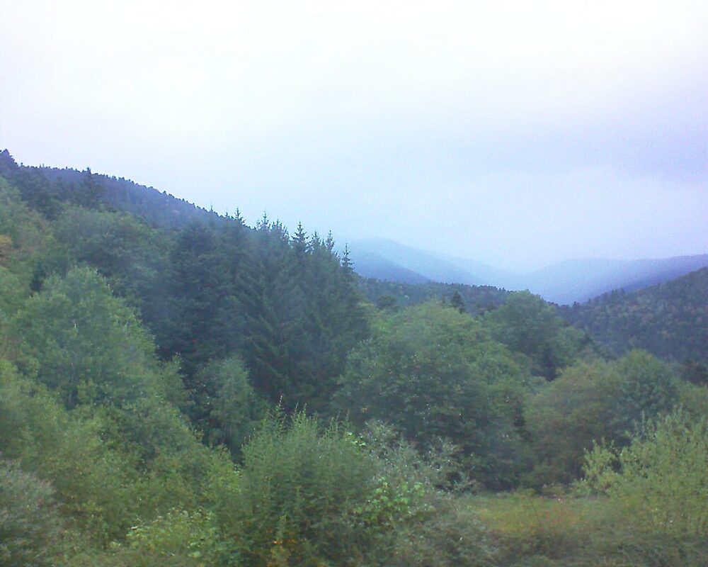 Le petit ballon (Alsace, Vosges) le 05.09.2026 à 07:30