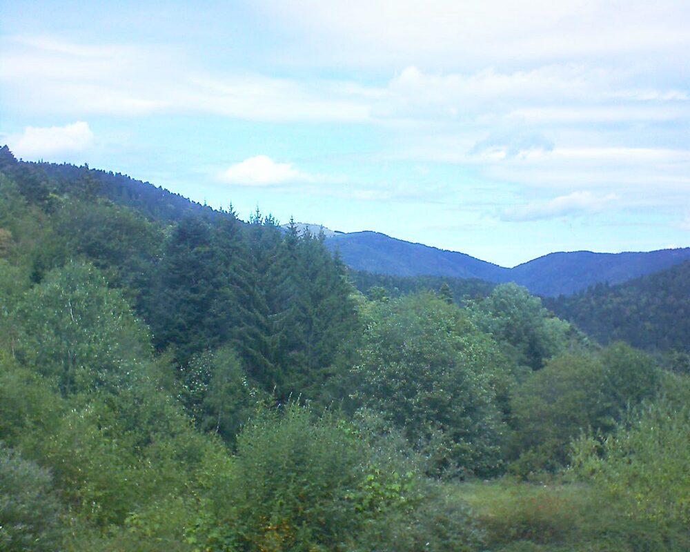 Le petit ballon (Alsace, Vosges) le 05.09.2026 à 13:30
