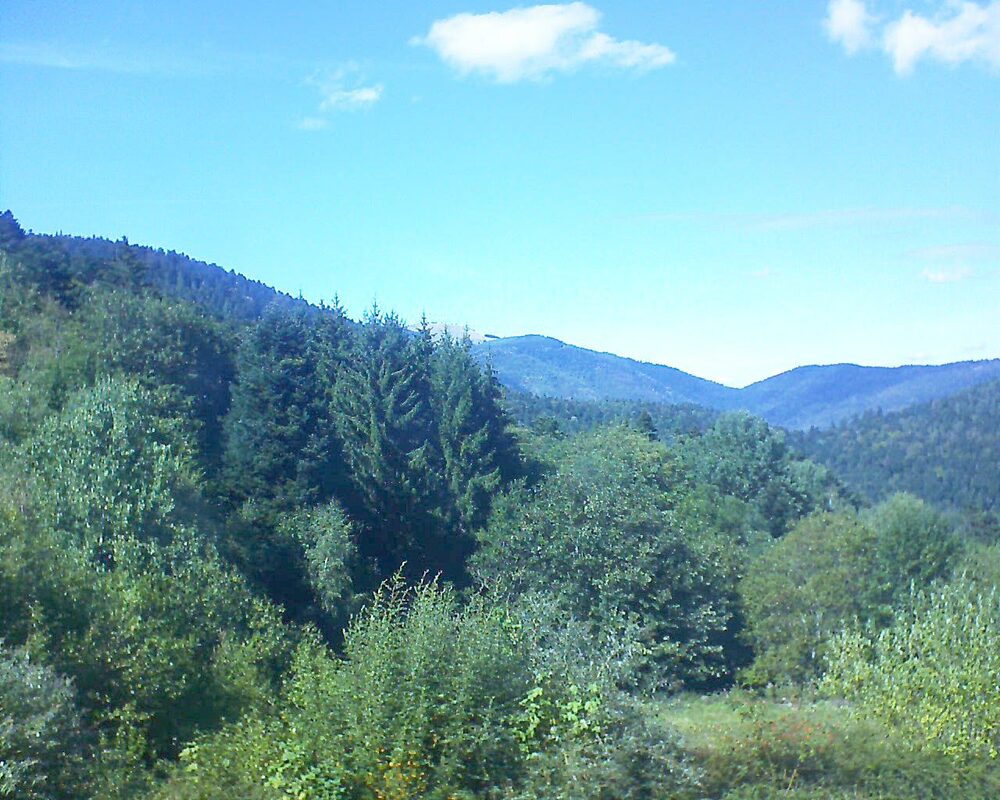 Le petit ballon vu depuis le Domaine Langmatt à Murbach le 05.09.2026 à 15:30 Le petit ballon (Alsace, Vosges) le 05.09.2026 à 15:30