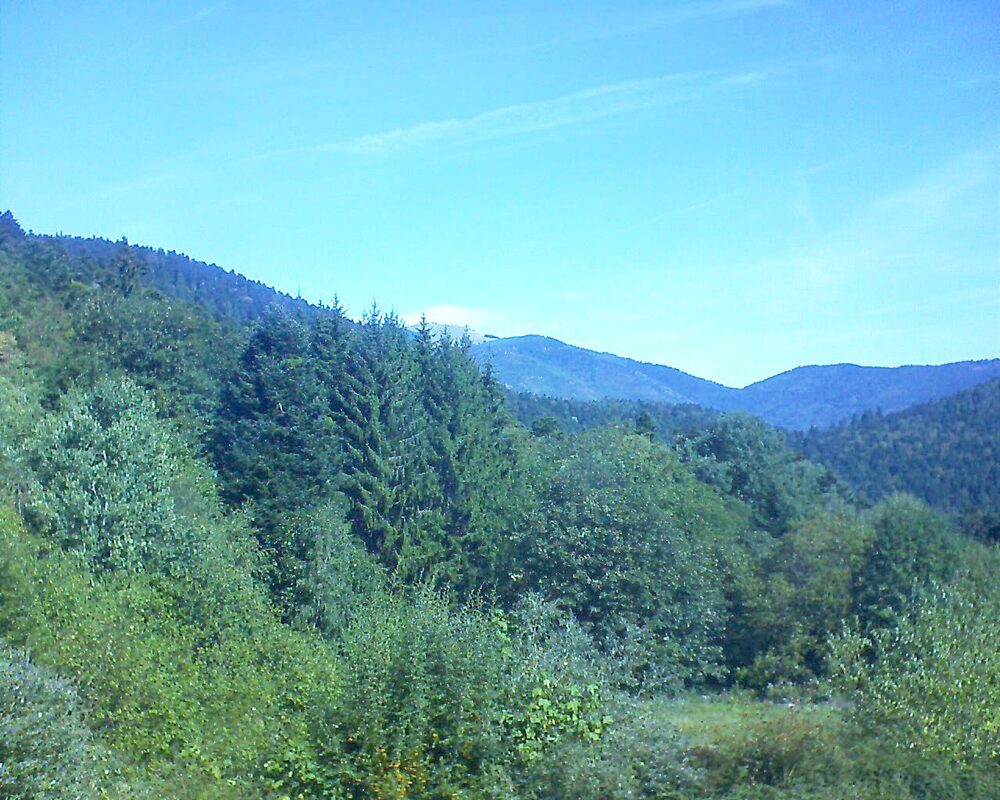 Le petit ballon (Alsace, Vosges) le 06.09.2026 à 11:30
