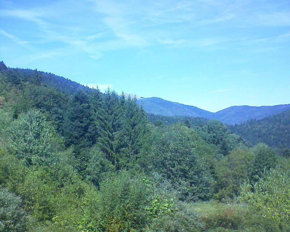 Le petit ballon (Alsace, Vosges) le 06.09.2026 à 13:30