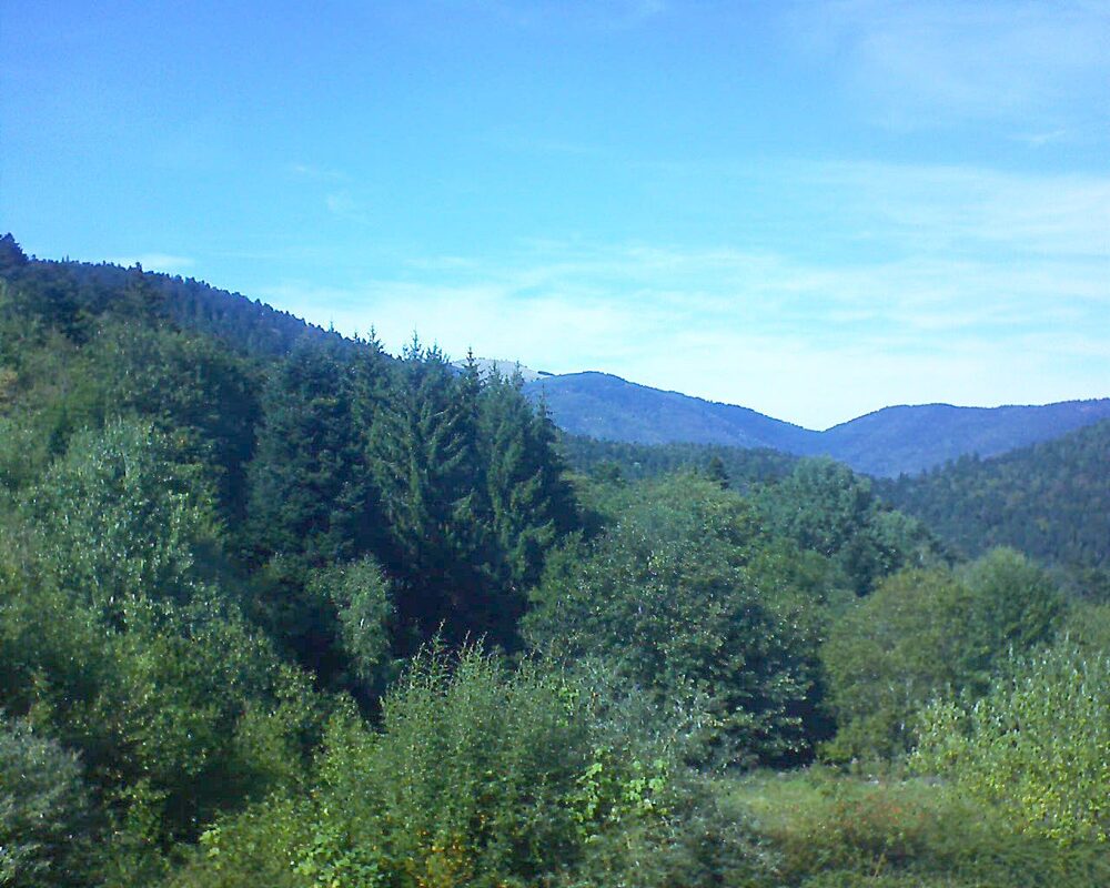 Le petit ballon (Alsace, Vosges) le 06.09.2026 à 15:30