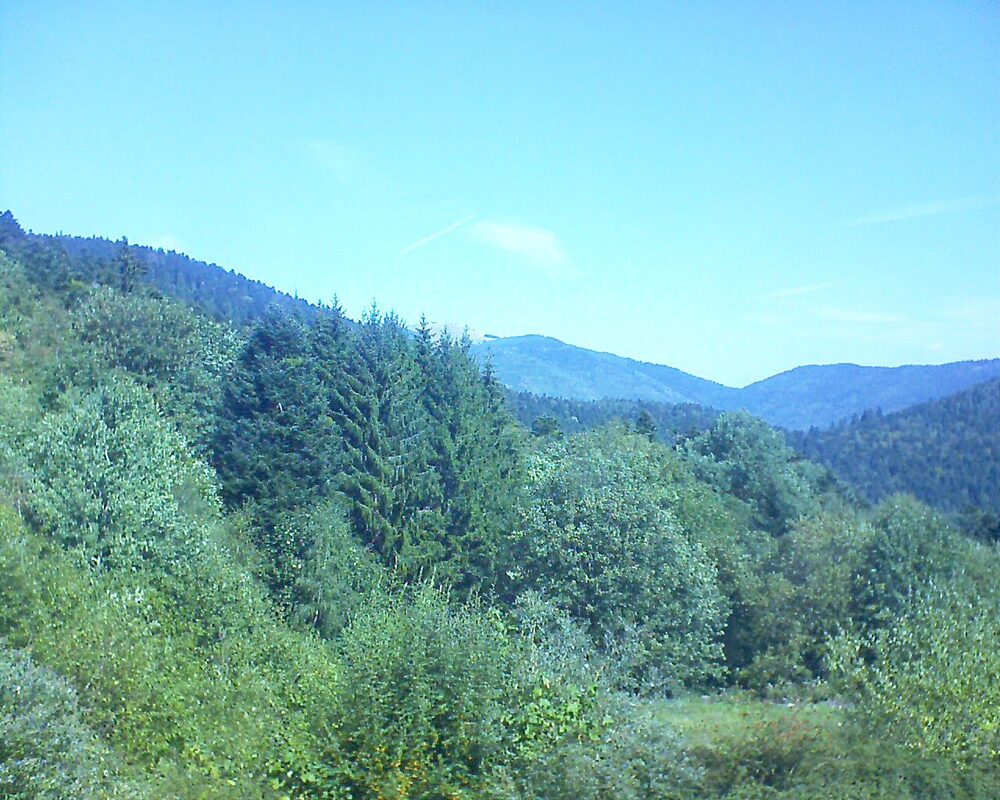 Le petit ballon vu depuis le Domaine Langmatt à Murbach le 08.09.2026 à 11:45 Le petit ballon (Alsace, Vosges) le 08.09.2026 à 11:45