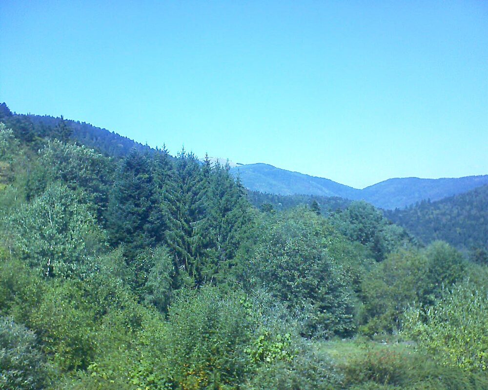 Le petit ballon (Alsace, Vosges) le 08.09.2026 à 13:45