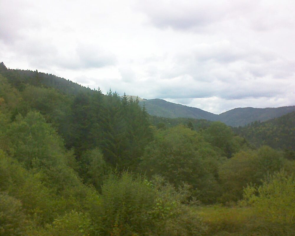 Le petit ballon (Alsace, Vosges) le 09.09.2026 à 13:15