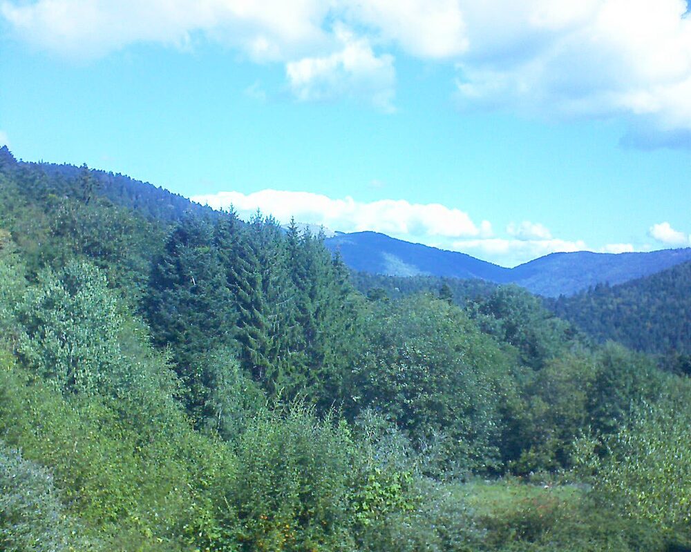 Le petit ballon (Alsace, Vosges) le 10.09.2026 à 11:15