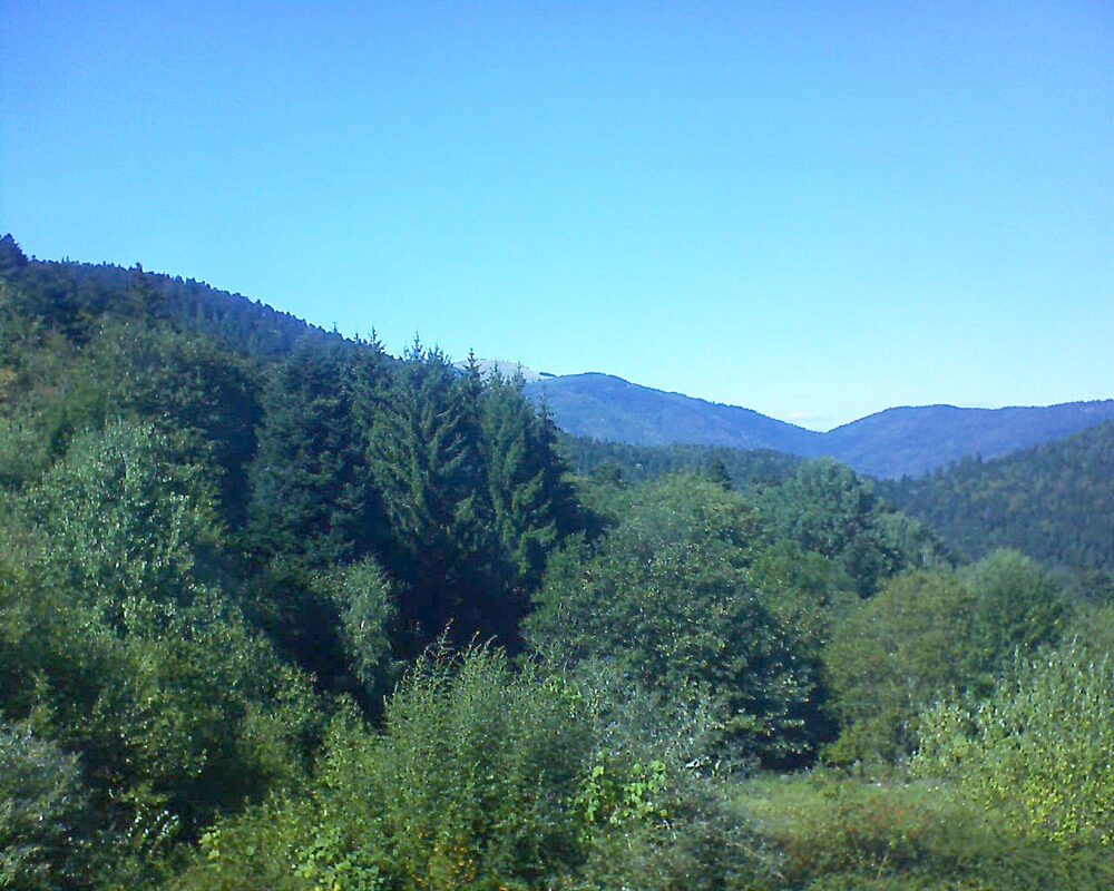 Le petit ballon vu depuis le Domaine Langmatt à Murbach le 10.09.2026 à 15:30 Le petit ballon (Alsace, Vosges) le 10.09.2026 à 15:30