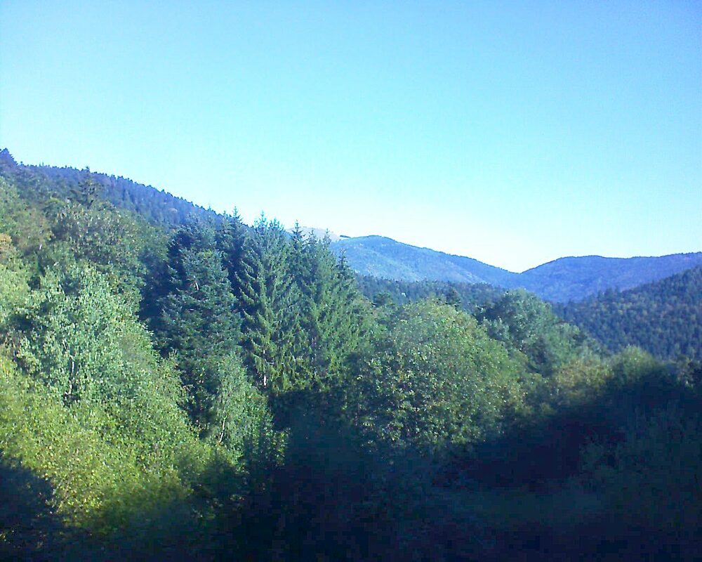 Le petit ballon (Alsace, Vosges) le 15.09.2026 à 10:00