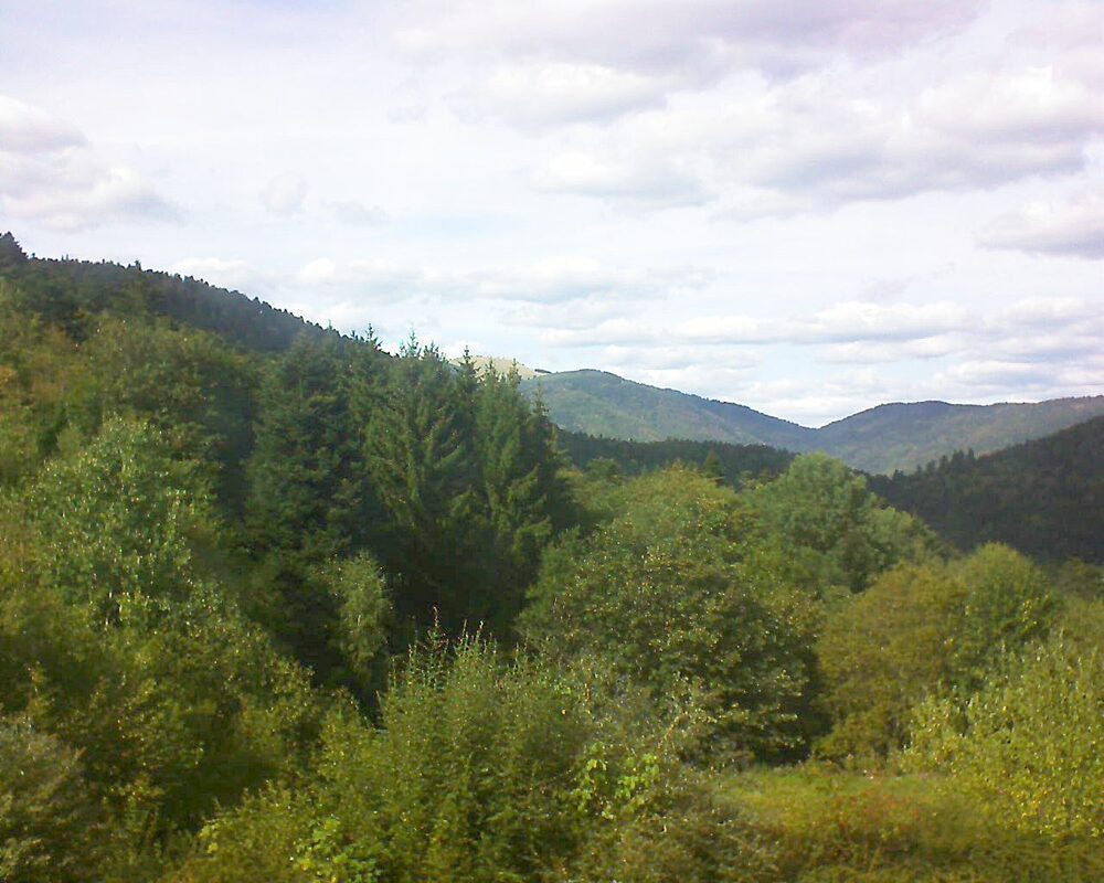 Le petit ballon (Alsace, Vosges) le 17.09.2026 à 15:30