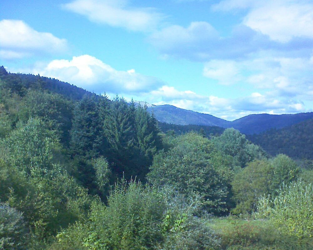 Le petit ballon vu depuis le Domaine Langmatt à Murbach le 18.09.2026 à 15:30 Le petit ballon (Alsace, Vosges) le 18.09.2026 à 15:30