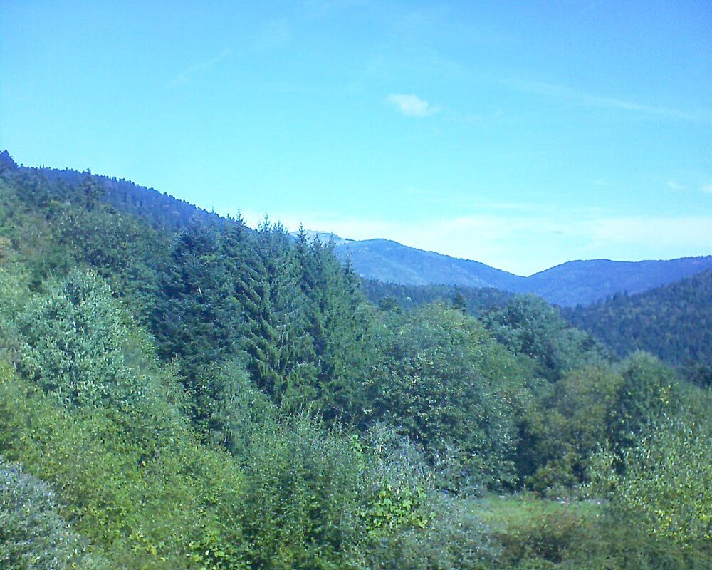 Le petit ballon (Alsace, Vosges) le 19.09.2026 à 11:45