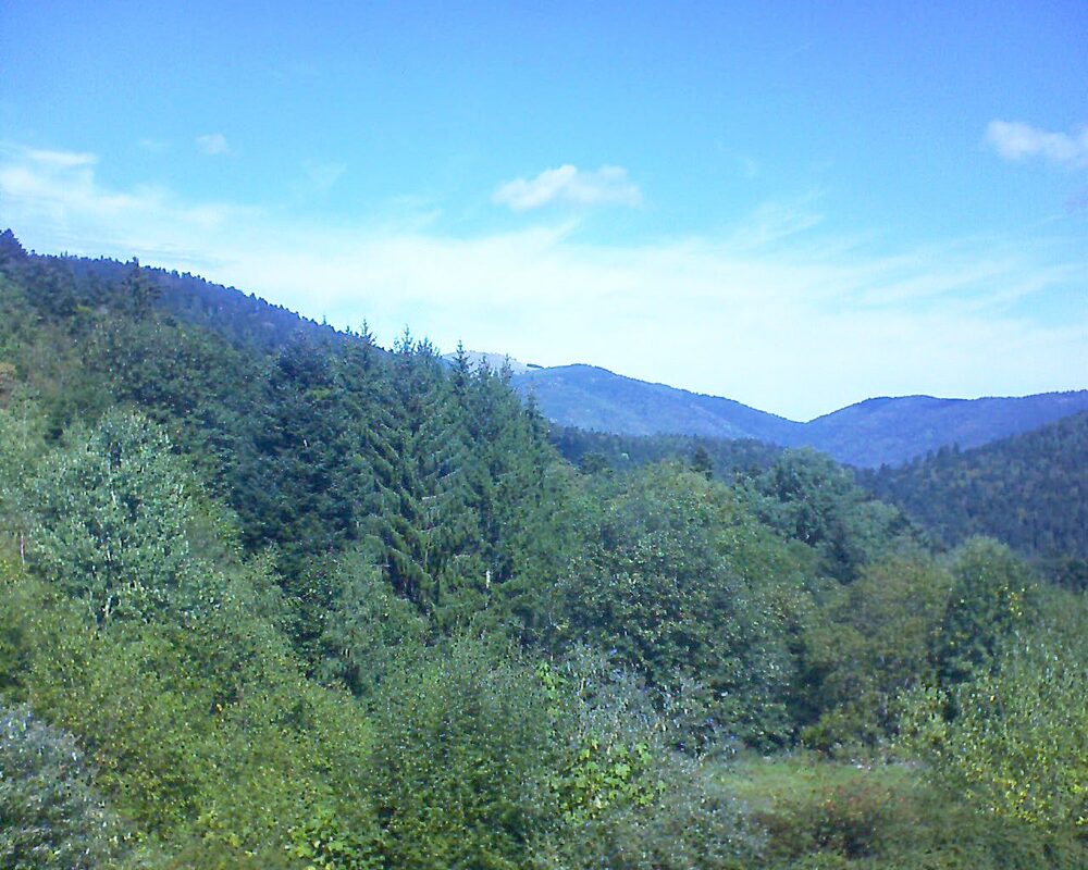 Le petit ballon (Alsace, Vosges) le 19.09.2026 à 12:30