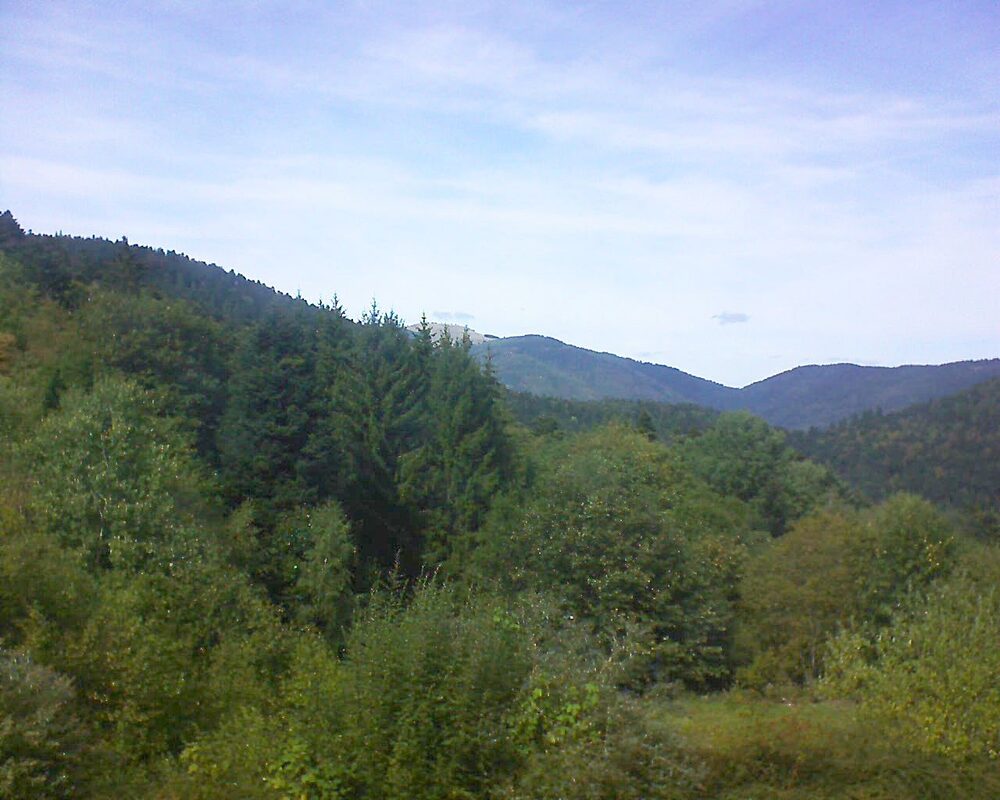 Le petit ballon (Alsace, Vosges) le 19.09.2026 à 14:30