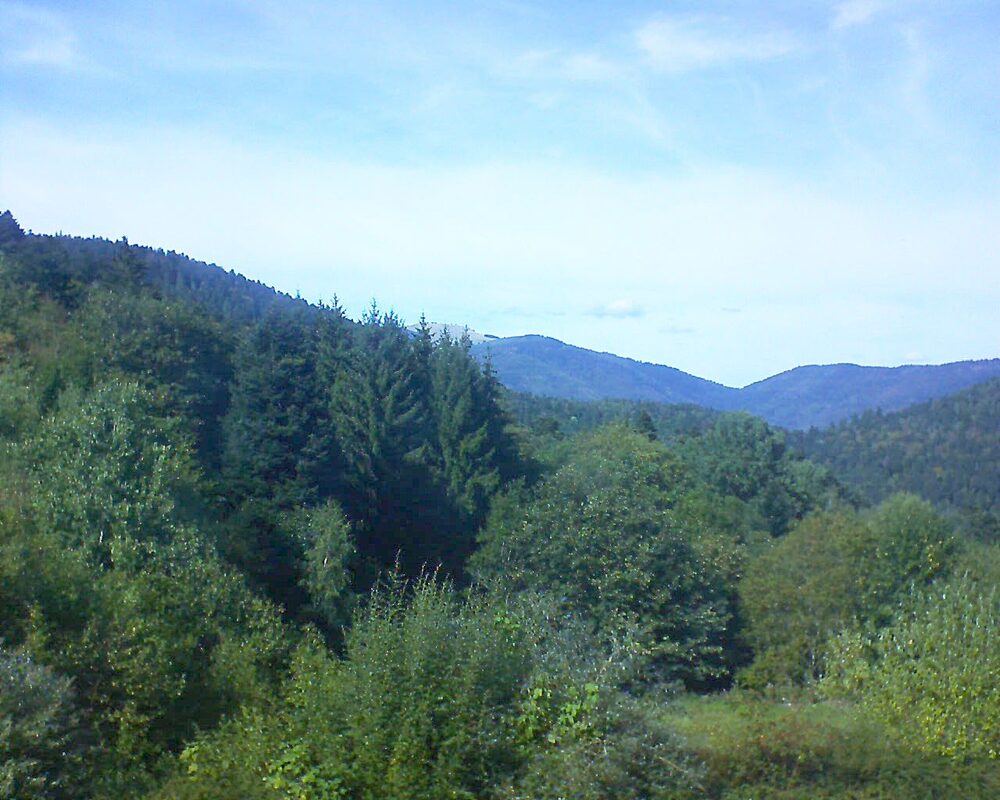 Le petit ballon (Alsace, Vosges) le 19.09.2026 à 15:15