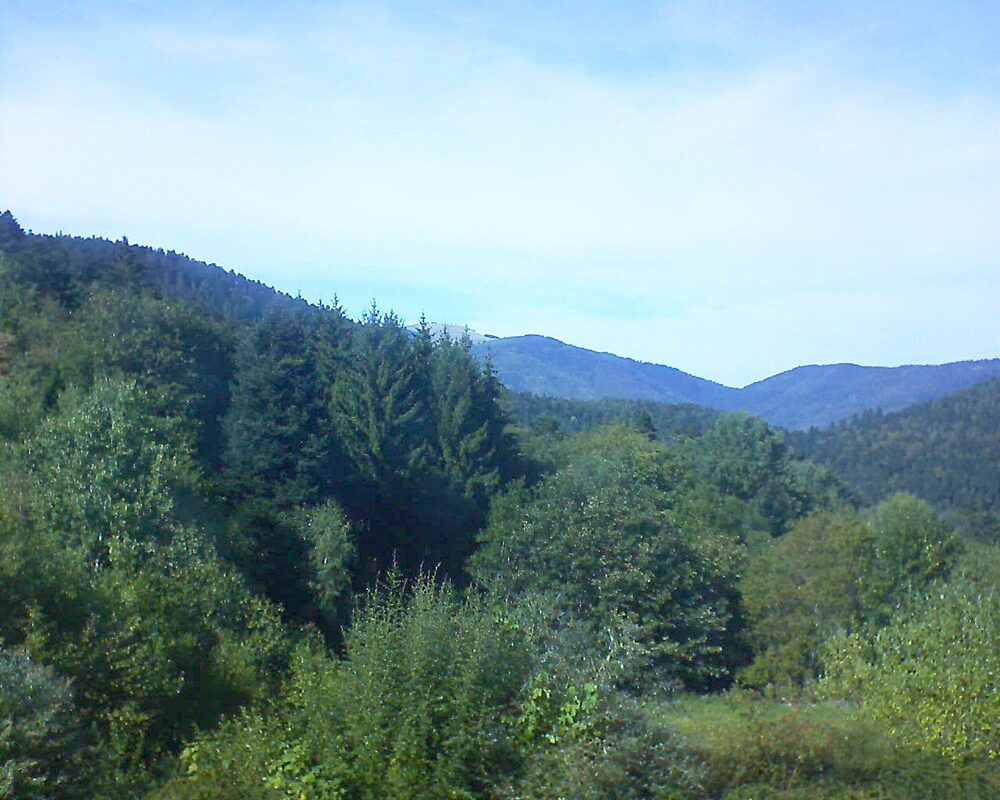 Le petit ballon vu depuis le Domaine Langmatt à Murbach le 19.09.2026 à 15:30 Le petit ballon (Alsace, Vosges) le 19.09.2026 à 15:30