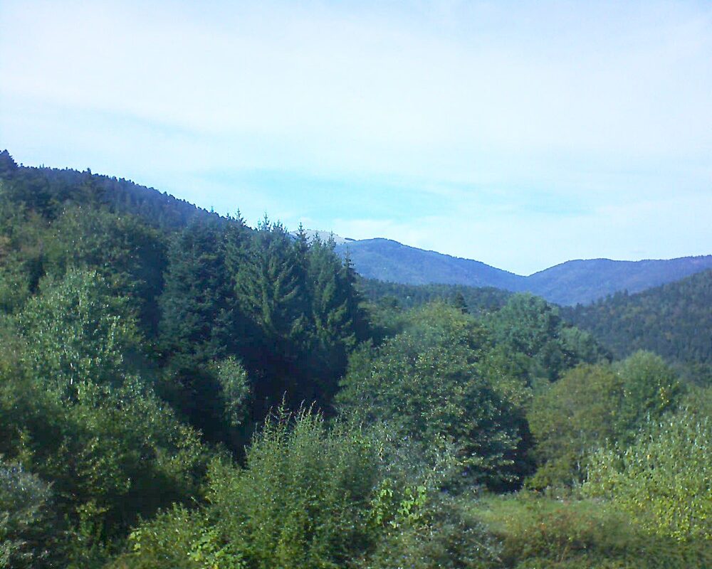 Le petit ballon (Alsace, Vosges) le 19.09.2026 à 15:45