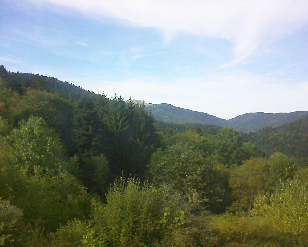 Le petit ballon (Alsace, Vosges) le 19.09.2026 à 16:30