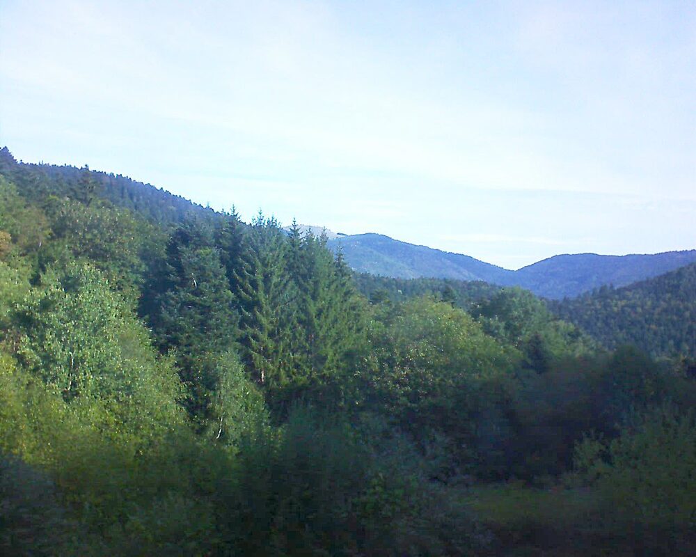 Le petit ballon vu depuis le Domaine Langmatt à Murbach le 20.09.2026 à 10:00 Le petit ballon (Alsace, Vosges) le 20.09.2026 à 10:00