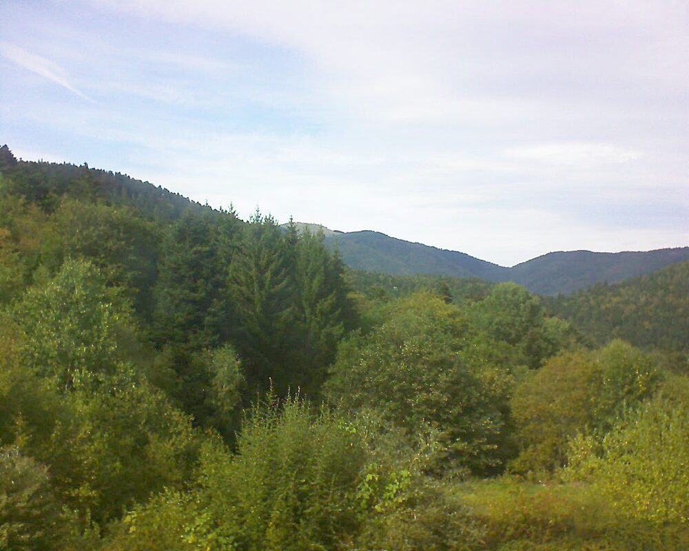 Le petit ballon (Alsace, Vosges) le 20.09.2026 à 15:30