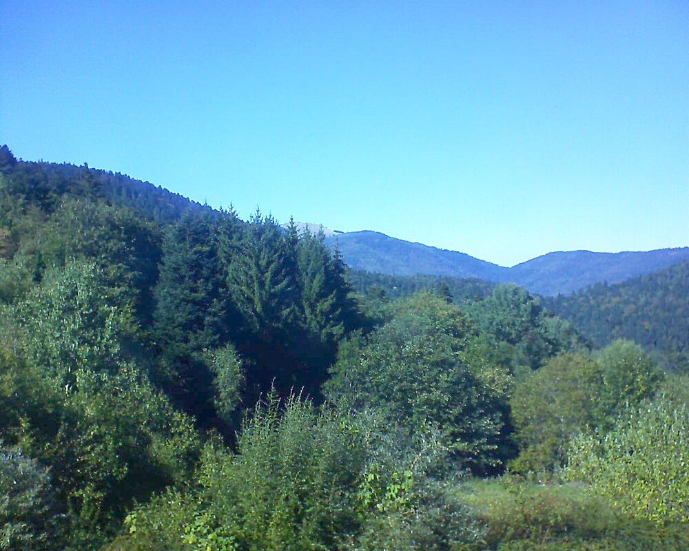 Le petit ballon (Alsace, Vosges) le 22.09.2026 à 15:30