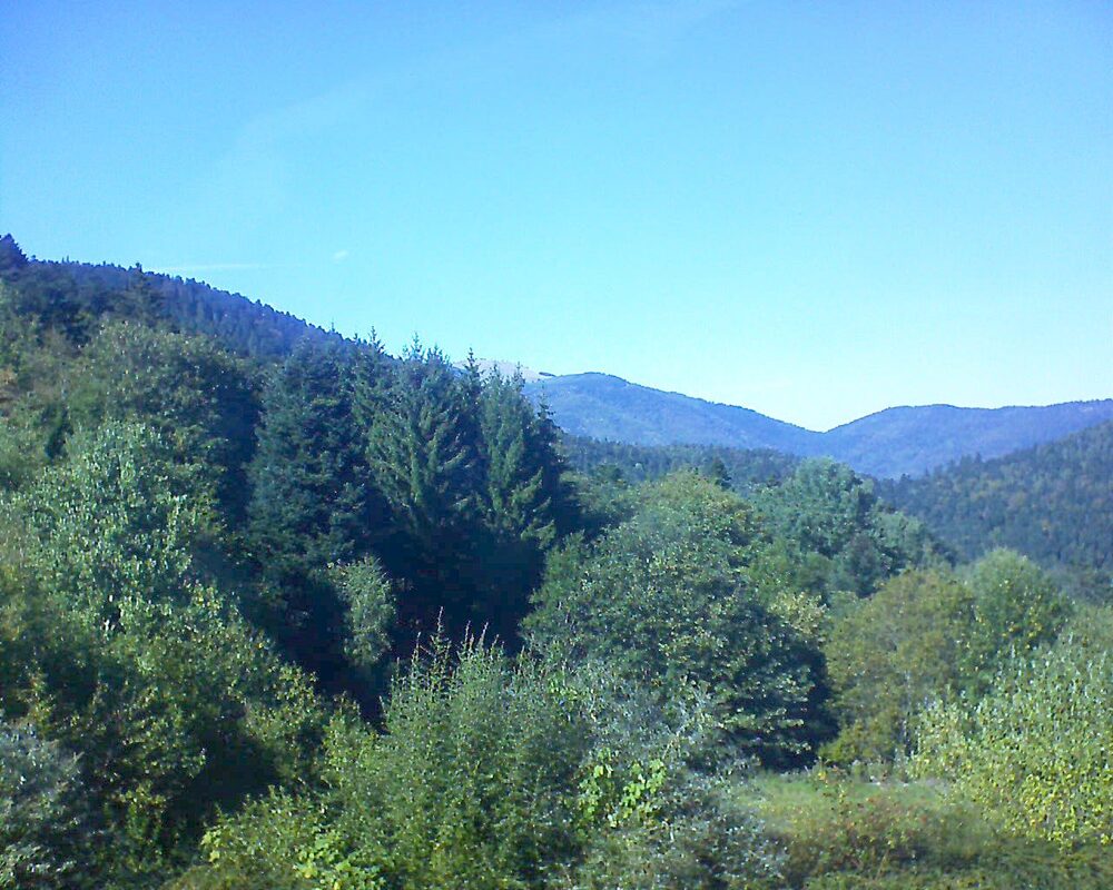 Le petit ballon (Alsace, Vosges) le 25.09.2026 à 15:30