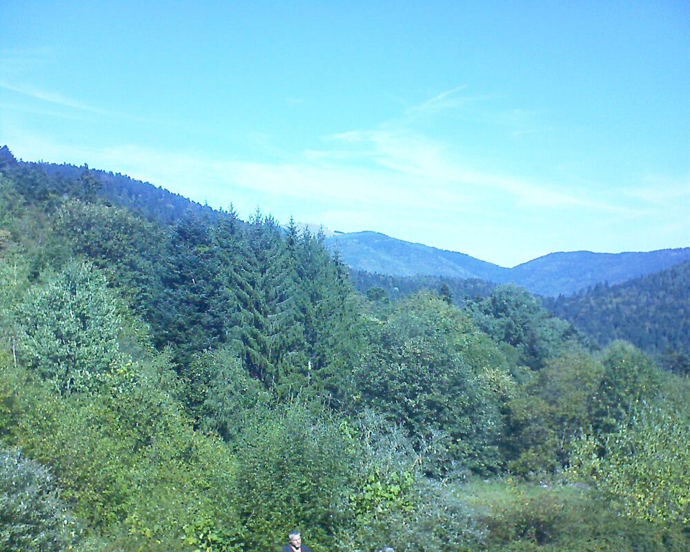 Le petit ballon (Alsace, Vosges) le 26.09.2026 à 12:30