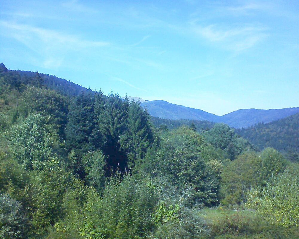 Le petit ballon (Alsace, Vosges) le 26.09.2026 à 14:30