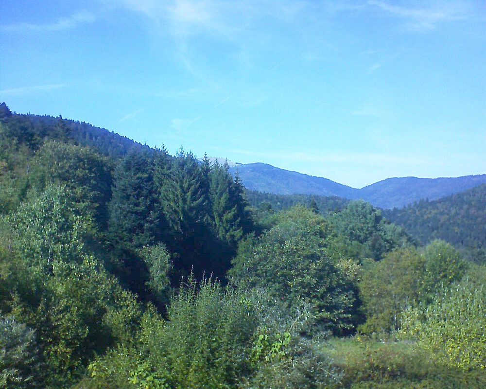 Le petit ballon (Alsace, Vosges) le 26.09.2026 à 15:15